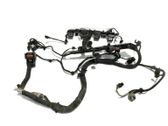 Faisceau de câblage pour moteur
