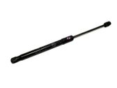 Front bonnet/hood damper/strut