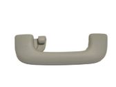 Rear interior roof grab handle