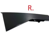 Rear door glass trim molding