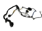 Rear door wiring loom