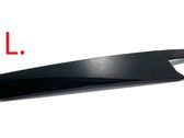 Rear door glass trim molding