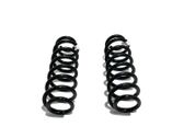 Muelle espiral trasero