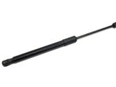 Front bonnet/hood damper/strut