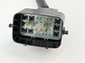 Other wiring loom