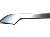 Baguette moulure de porte arrière