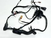 Rear door wiring loom