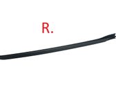 Windshield trim