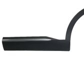 Rear door trim (molding)