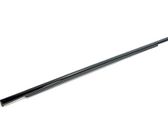 Rear door glass trim molding
