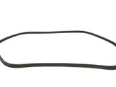 Trunk rubber seal (body)