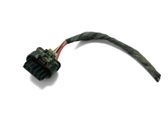 Other wiring loom