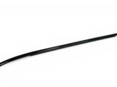 Rear door glass trim molding
