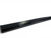 Front door trim (molding)