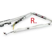 Roof airbag