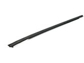 Rear door glass trim molding