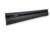 Front door trim (molding)