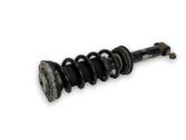 Rear shock absorber/damper