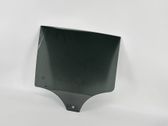 Rear door window glass