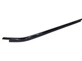 Front door glass trim molding