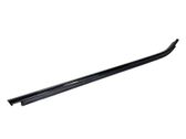 Door glass trim
