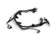 Engine installation wiring loom