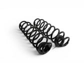 Rear coil spring