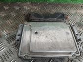 Engine control unit/module ECU