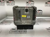 Engine control unit/module ECU