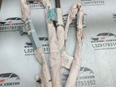 Roof airbag