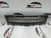 Front bumper lower grill