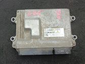 Engine control unit/module ECU