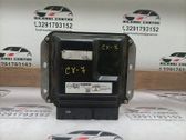 Engine control unit/module ECU