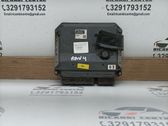 Engine control unit/module ECU