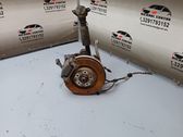Rear wheel hub spindle/knuckle