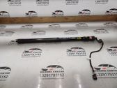 Tailgate/trunk/boot lid