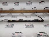 Tailgate/trunk/boot lid