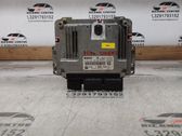 Engine control unit/module ECU