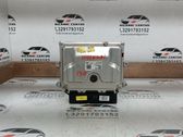 Engine control unit/module ECU