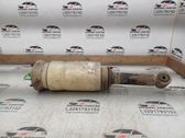 Front shock absorber/damper