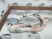 Roof airbag