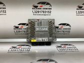Engine control unit/module ECU