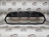 Front grill