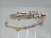 Roof airbag