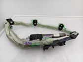 Roof airbag