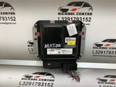 Engine control unit/module ECU