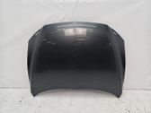 Motorhaube