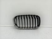 Front grill