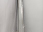 Sill/side skirt trim