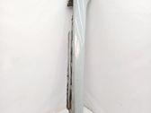 Sill/side skirt trim